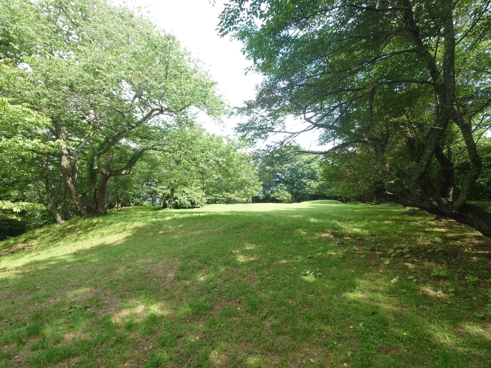 最上段の本丸跡地