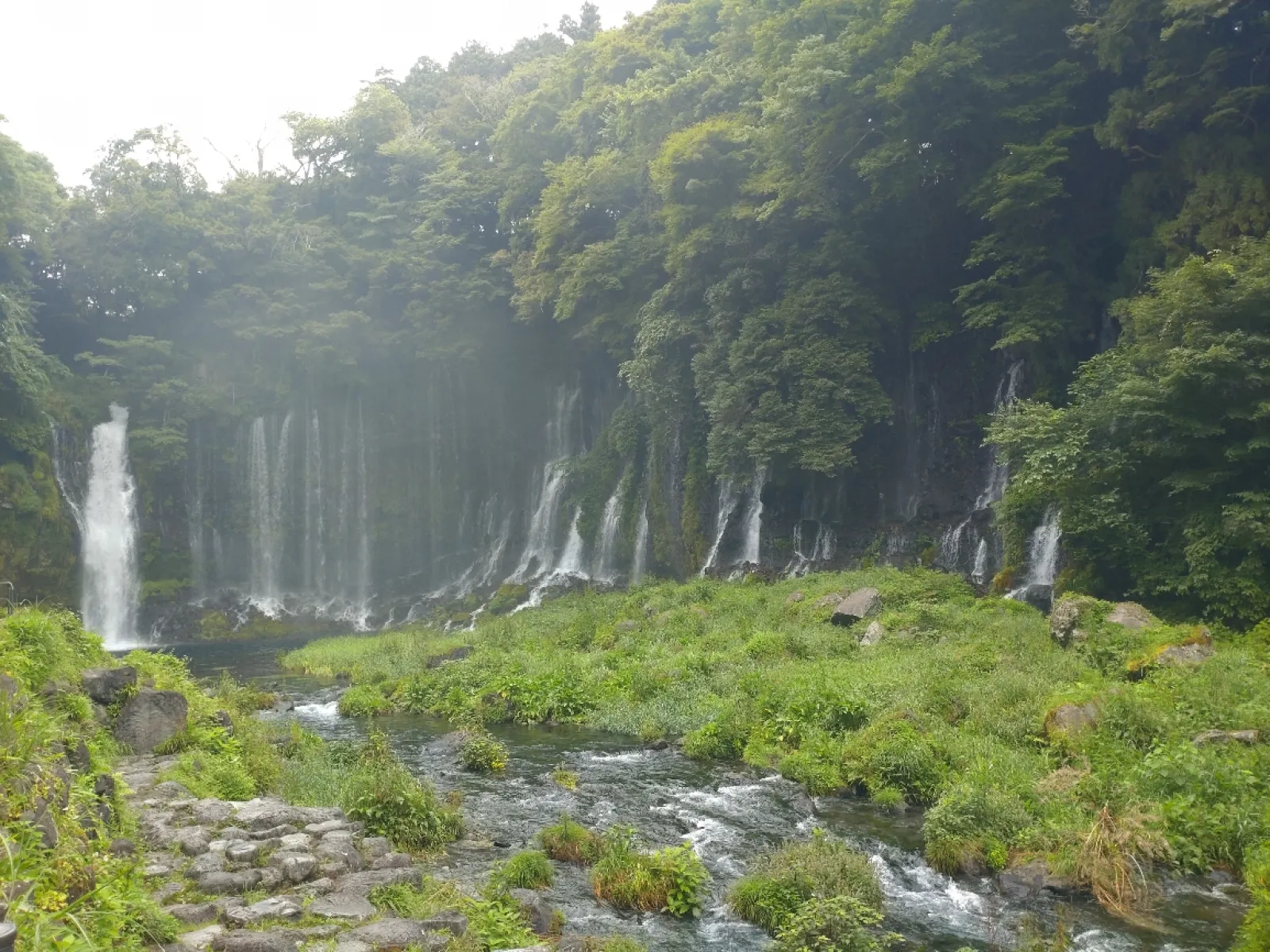 この辺りに来ると涼しいね〜。
