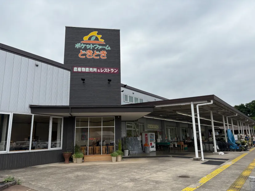 ポケットファームどきどき