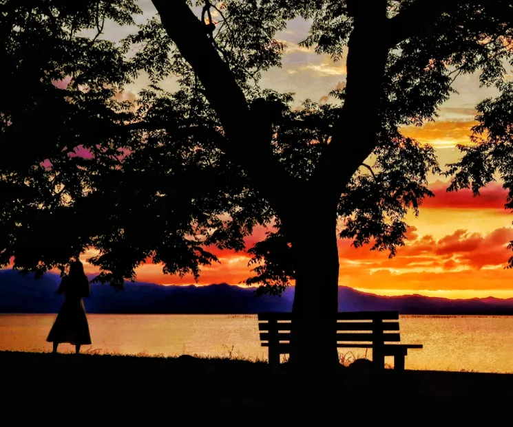 シルエット撮影