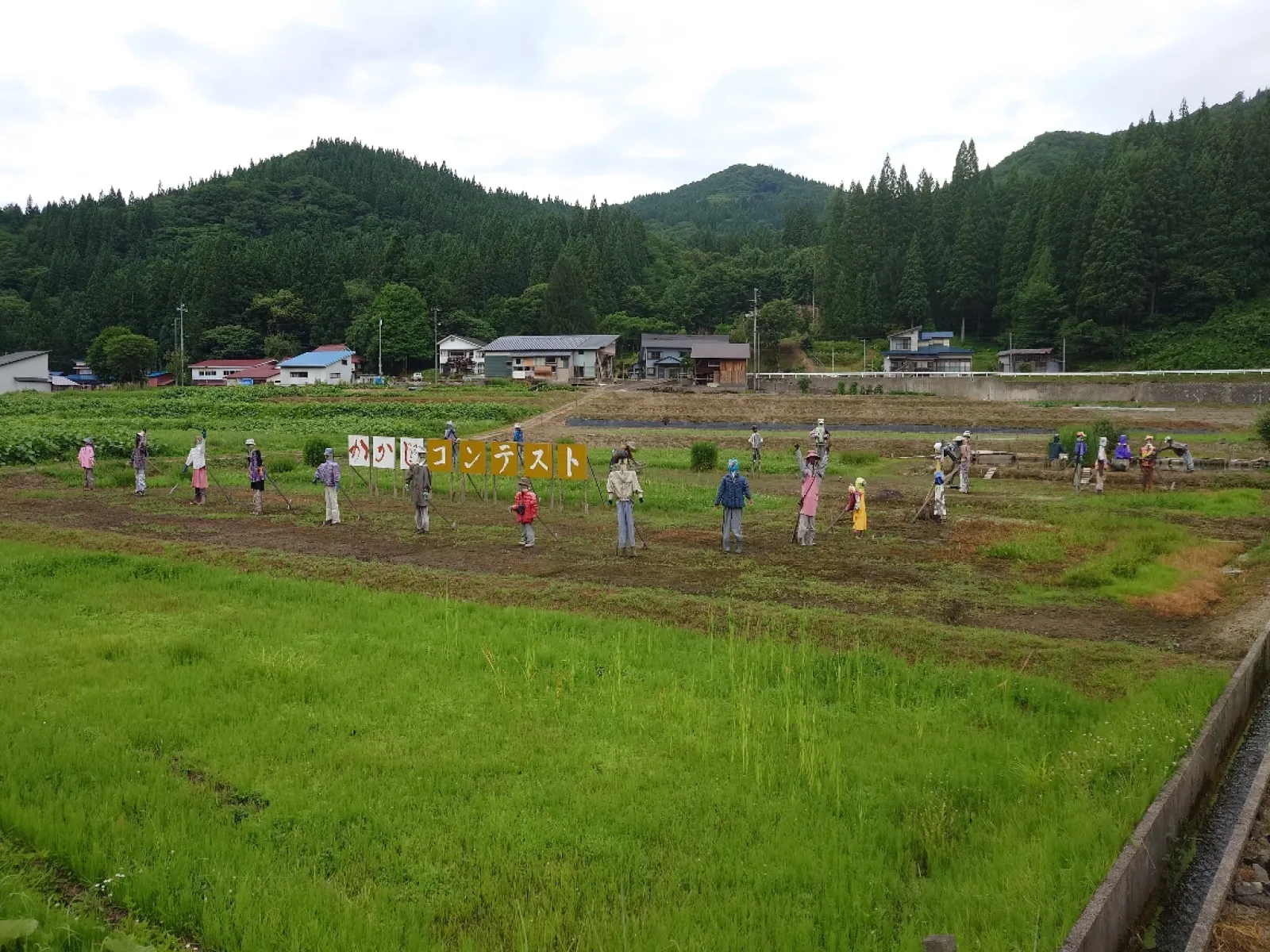 全部で２８体