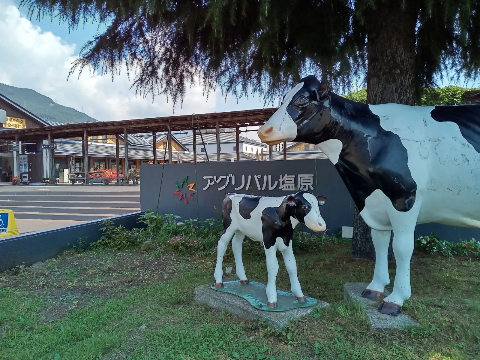 水が流れる日陰が快適