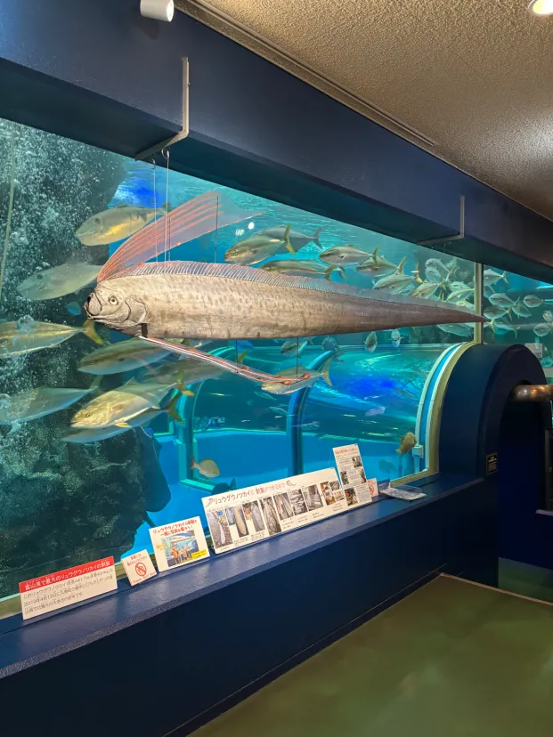 魚津水族館行ってきたよ