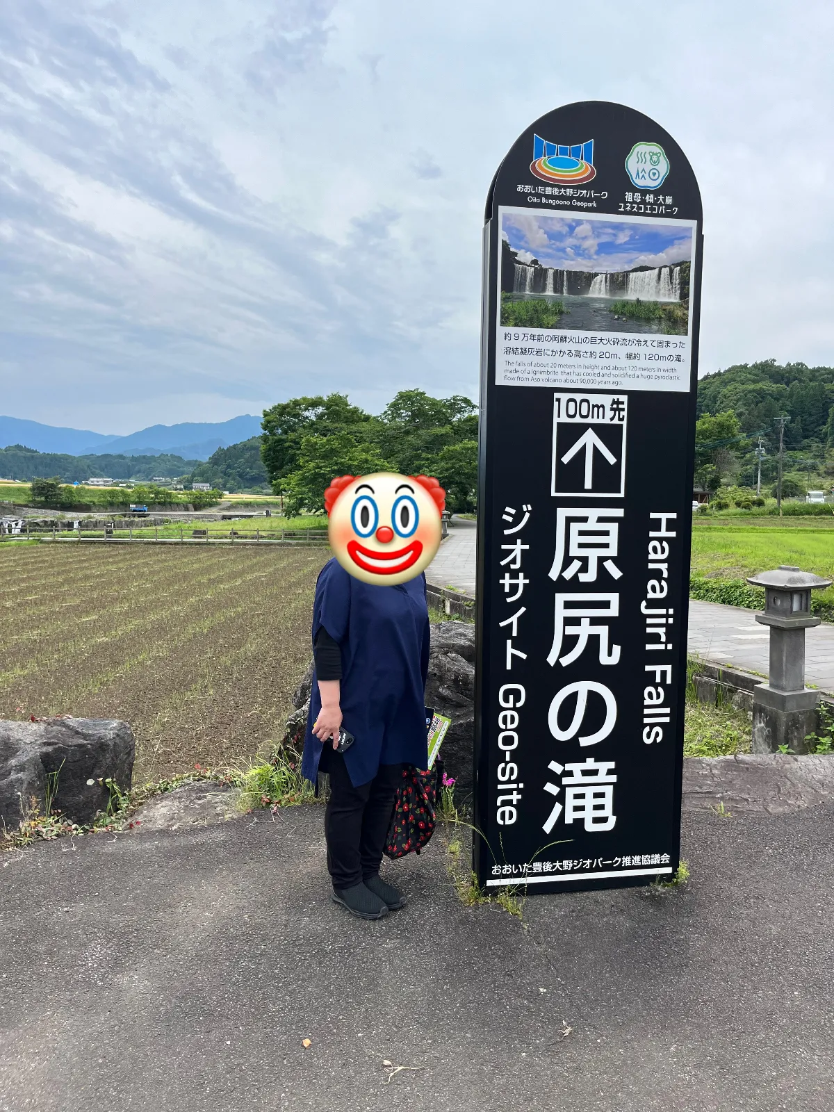日本のナイアガラと呼ばれる滝が美しい場所です。最近こちらで観光客の方が滝壺に落ちて亡くなったと伺いました。なるべく滝の端には近づかないほうがいいのかなぁと思います。あまりの迫力で近づきたいと言う気持ちはわかります。こちらの道の駅ではたくさんの魅力ある商品が売っておりました。大分らしく唐揚げも売っています。美味しく頂戴いたしました。周りにはお店がないのでこの建物近辺で買い物したり食事を楽しむことになると思います。滝を1周すると約30分位の散歩が楽しめます。ただ高いところが苦手な人は吊り橋を渡るのが難しいと思います。遠くから眺めるだけにしましょう。