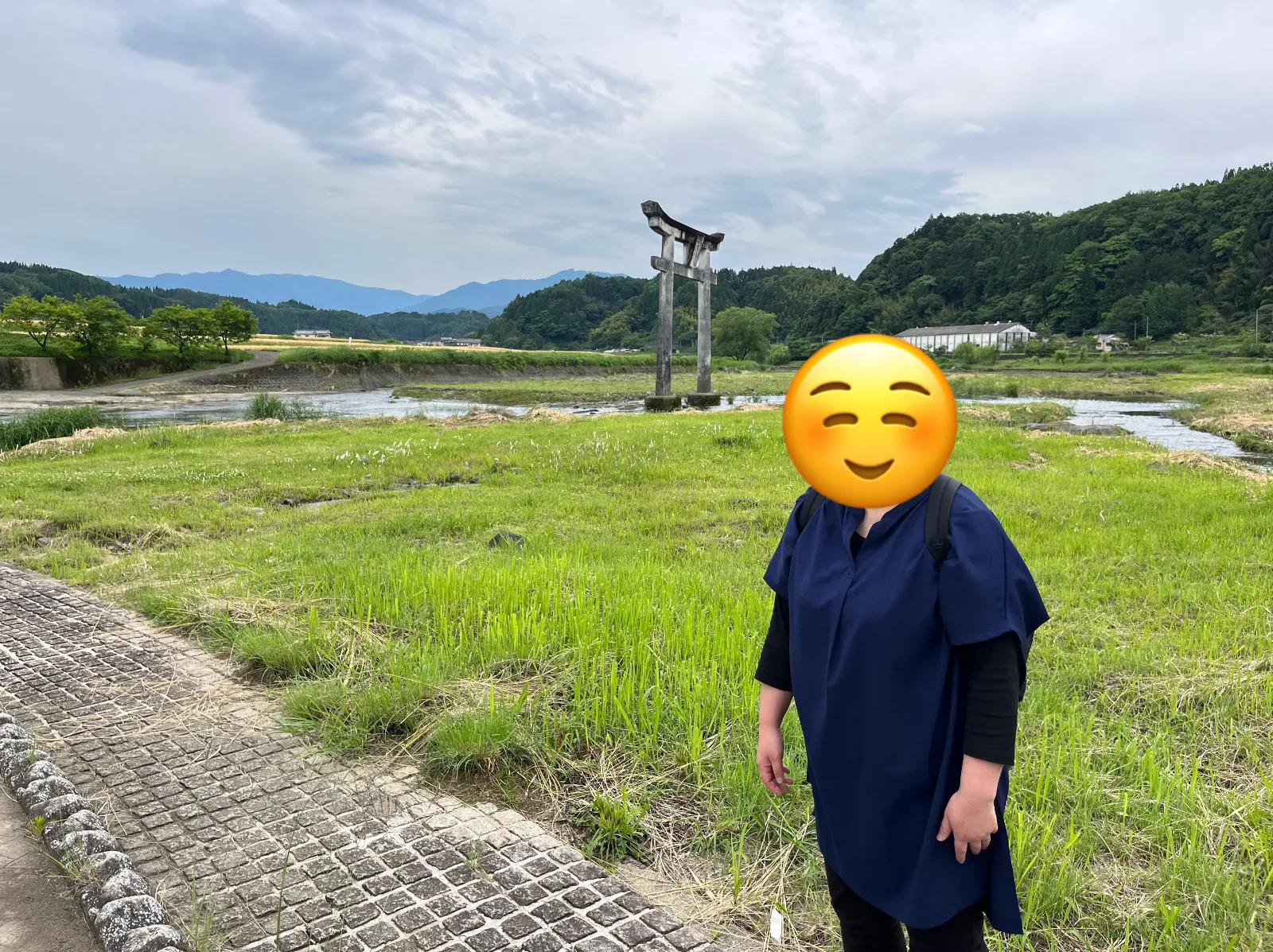 滝の上の流れです。鳥があって何か神秘的な風景が広がっています。心が癒される感じです。