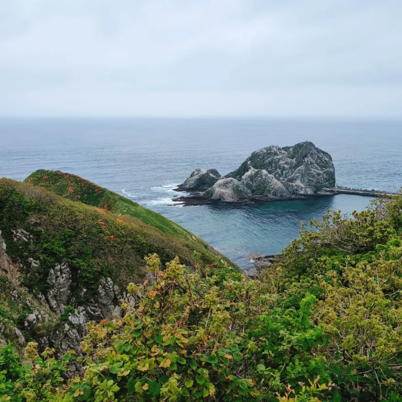 想像と違ってた