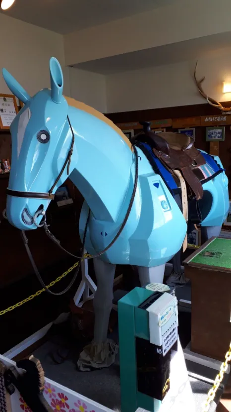 道の駅うりまくでロディオ体験