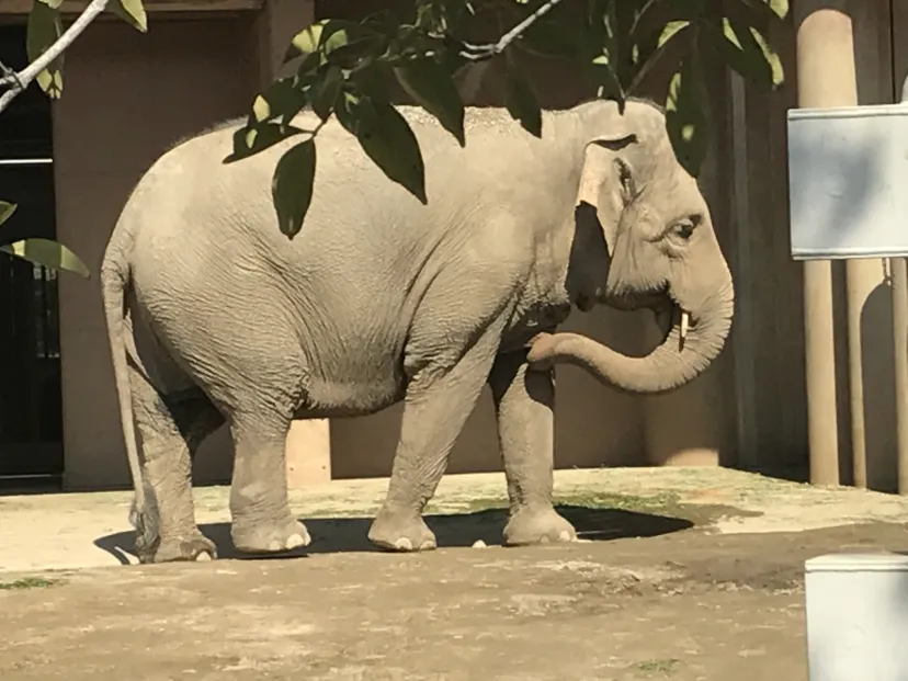 東山動植物園　ポイントGET