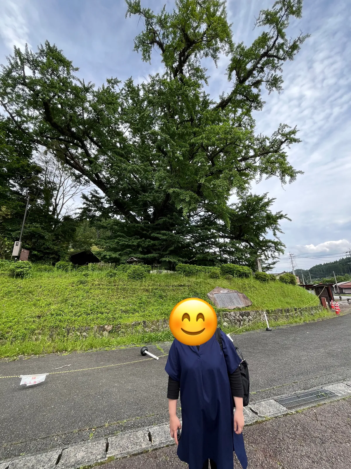 大通りから外れて、こんな場所にそんなスポットはあるのかなと言う場所でございますが、ひっそりとたたずんでおります。大きくそびえたちイチョウの木に自然への畏敬の念を感じません。はるか昔よりここにたたずんでいるのかなと思いますと歴史を感じます。大昔の人もこの木を見て何を持ったんだろうか、少し自分が哲学者になった気分です。銀杏の木の横には滝がありましてそちらも見所満載です。しっかりと看板は整備されていますが、なかなか観光名所として立ち寄る人はいないと思います。日田から沢尻方面に向かうなどされる方は、ぜひ立ち寄られるとよろしいのではないでしょうか？