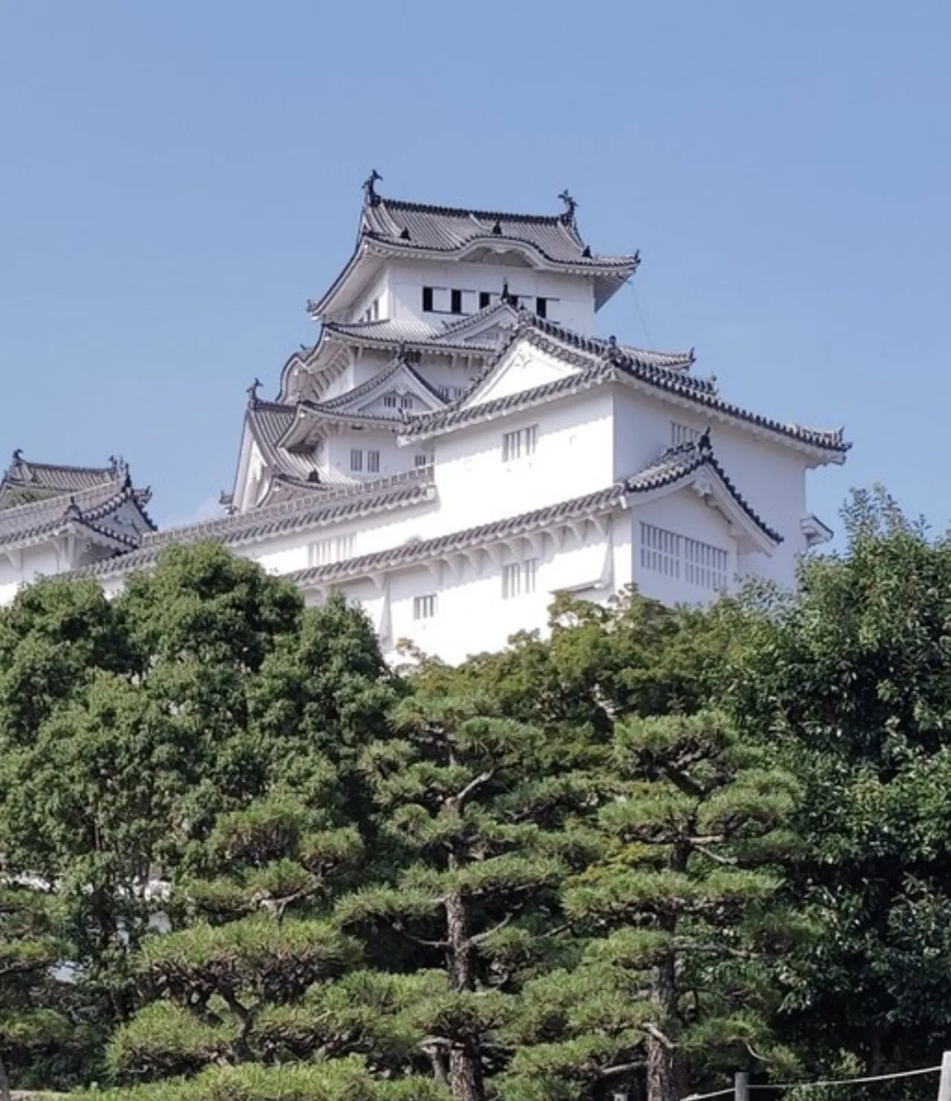 岡崎のシンボル、岡崎城。夜のライトアップもとても綺麗です。桜の時期になると桜と一緒に写真が撮れてとても良いスポットになるみたいです。岡崎は家康の生まれた地ということで、様々な展示がありました。東海地方は戦国武将にまつわるものがたくさんあるので他も訪れてみたいです。