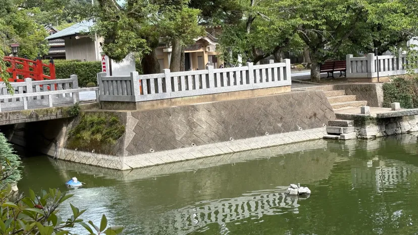 国宝の。そして、池の水。