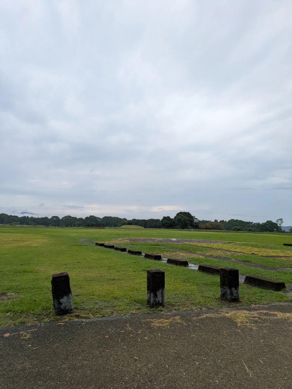 広大な古墳群でした。日本最大級の古墳群で平地に土が盛られている場所がいくつもあり、その一つ一つが有力者の墓であることを思うと、かなり大きな古代国家が存在していたことが想像されます。自然豊かな場所でもありました。