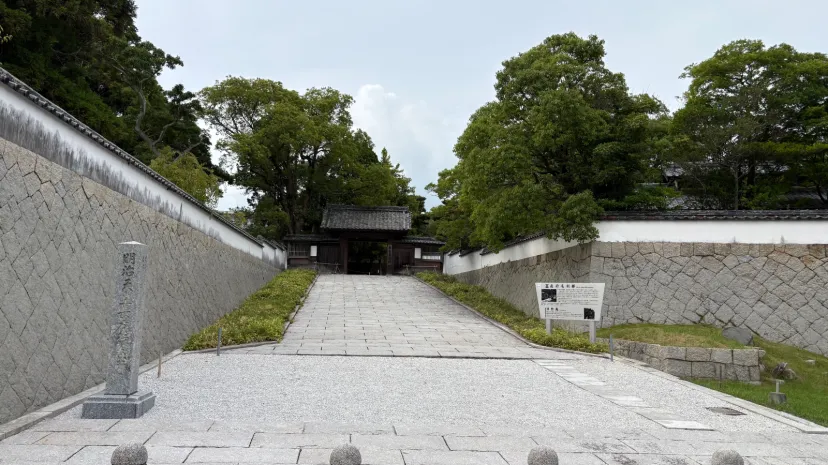 なつかしの