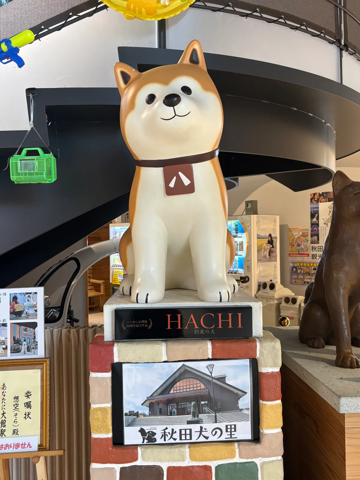 入館無料で秋田犬の事が色々紹介されていました。本物の秋田犬も見ることができて可愛らしく楽しいと思います。