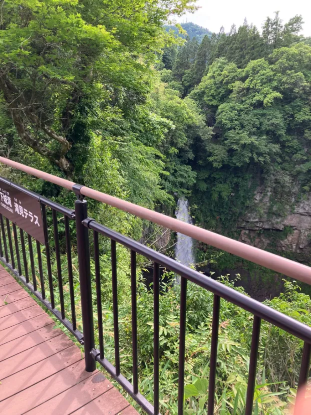 下城の大イチョウとそのそばのテラスからの景色が素晴らしかった
