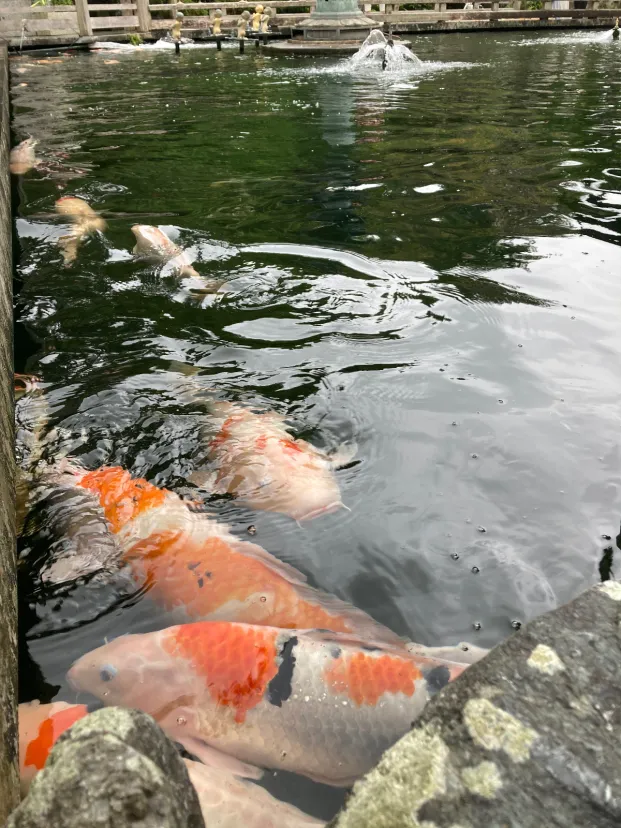 一番札所・霊山寺