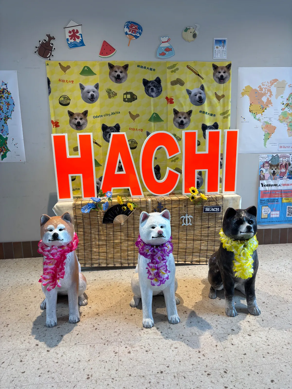 可愛い秋田犬さんを拝見出来るミュージアム的な施設。秋田犬グッズや写真映えスポットがたくさんあります。
訪問した日は雪月ちゃんとサクラちゃんがお越しになられていました。ガラス越しでしたが元気な姿を拝見させていただきました。とてもお利口さんです。
広場でワンちゃんお散歩してる方もたくさんいてました。