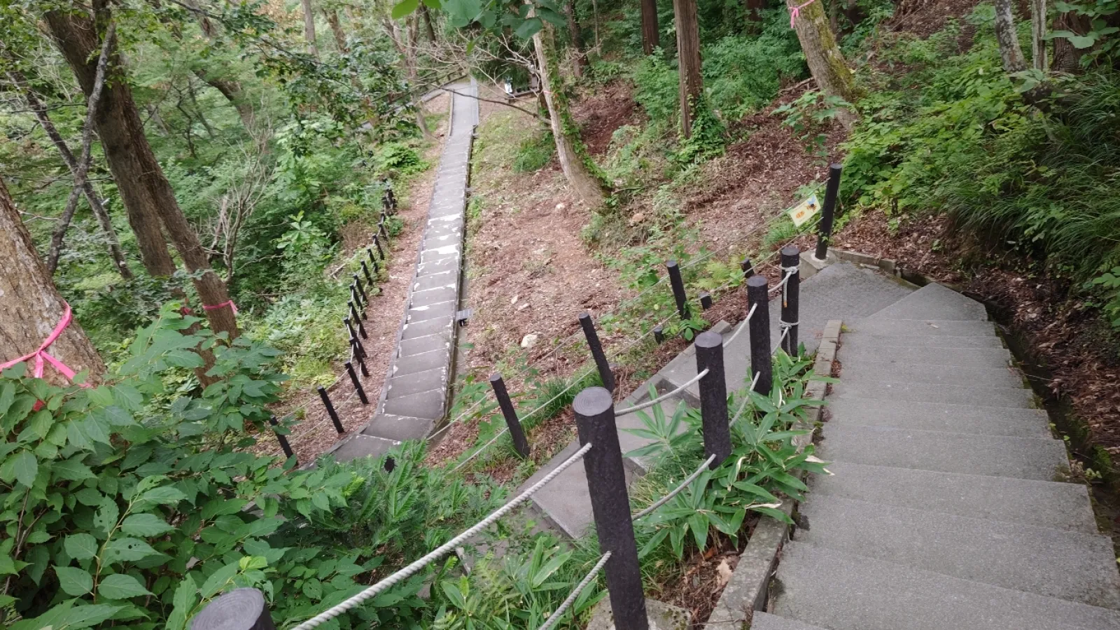 駐車場に車を停めていざ行こうとすると、ものすごーい階段です
足を痛めてる人は厳しいです