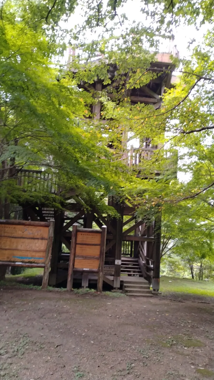 夏場なので木々が茂っていてこんな感じです。森の中の秘密の砦みたい。途中、ちゃんと案内看板はあります。
木造でところどころ補修されていますが、しっかりした建物・階段です。そう、ここまでもかなり大変だったのに、最後にまた階段が待ち構えています!
でも絶景が見れました。苦労の甲斐ありでした。