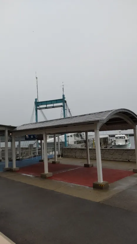 大迫力の景色です