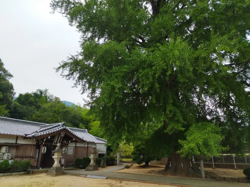 丹生都比売神もやってきた