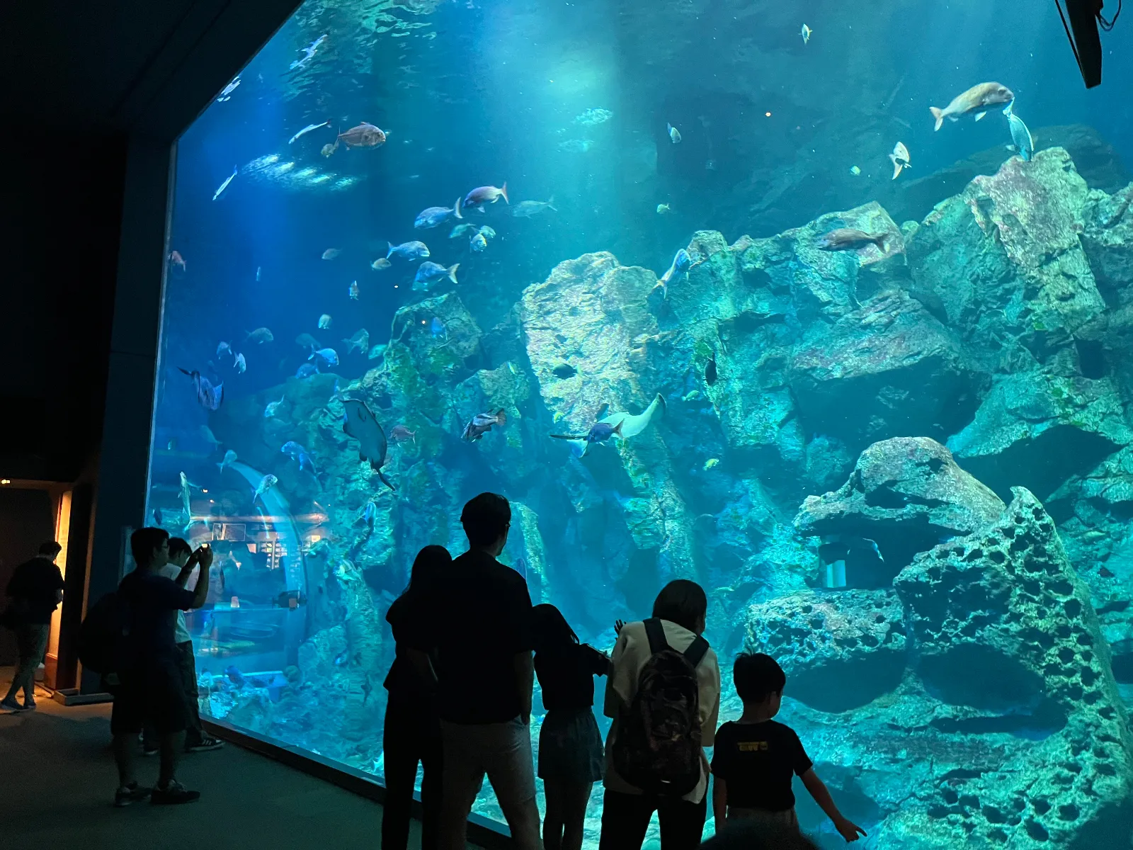 男鹿半島にある水族館「GAO」です。連休中などは沢山の家族連れで賑わいます。車は少し遠くに停めてもリムジンバスがあるので安心！
様々な海の生き物たちが展示されていて、貝やナマコなどの触れ合いコーナーもあり子供達にも人気です。