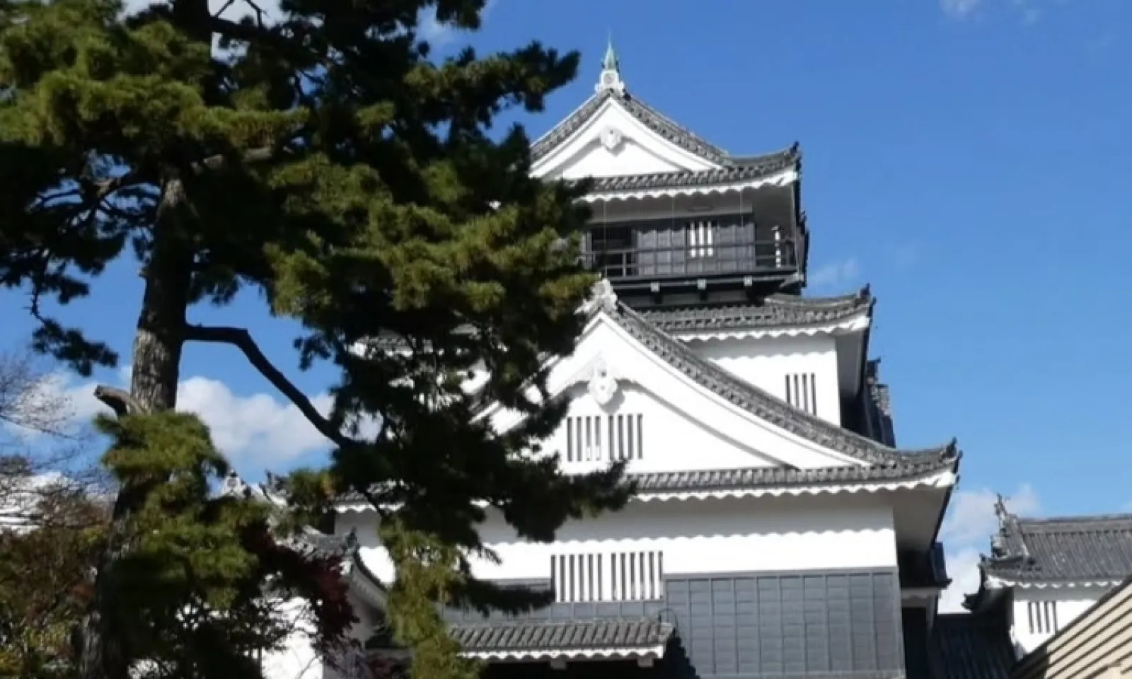 家康にゆかりのあるお城ということで行ってみました。お城もとても立派で、周りの公園も広くて色々楽しめました。桜ので有名とのことだったので、次は桜の時期に来てみたいです。岡崎は観光スポットが多くあるのでまた他の場所も行きます！