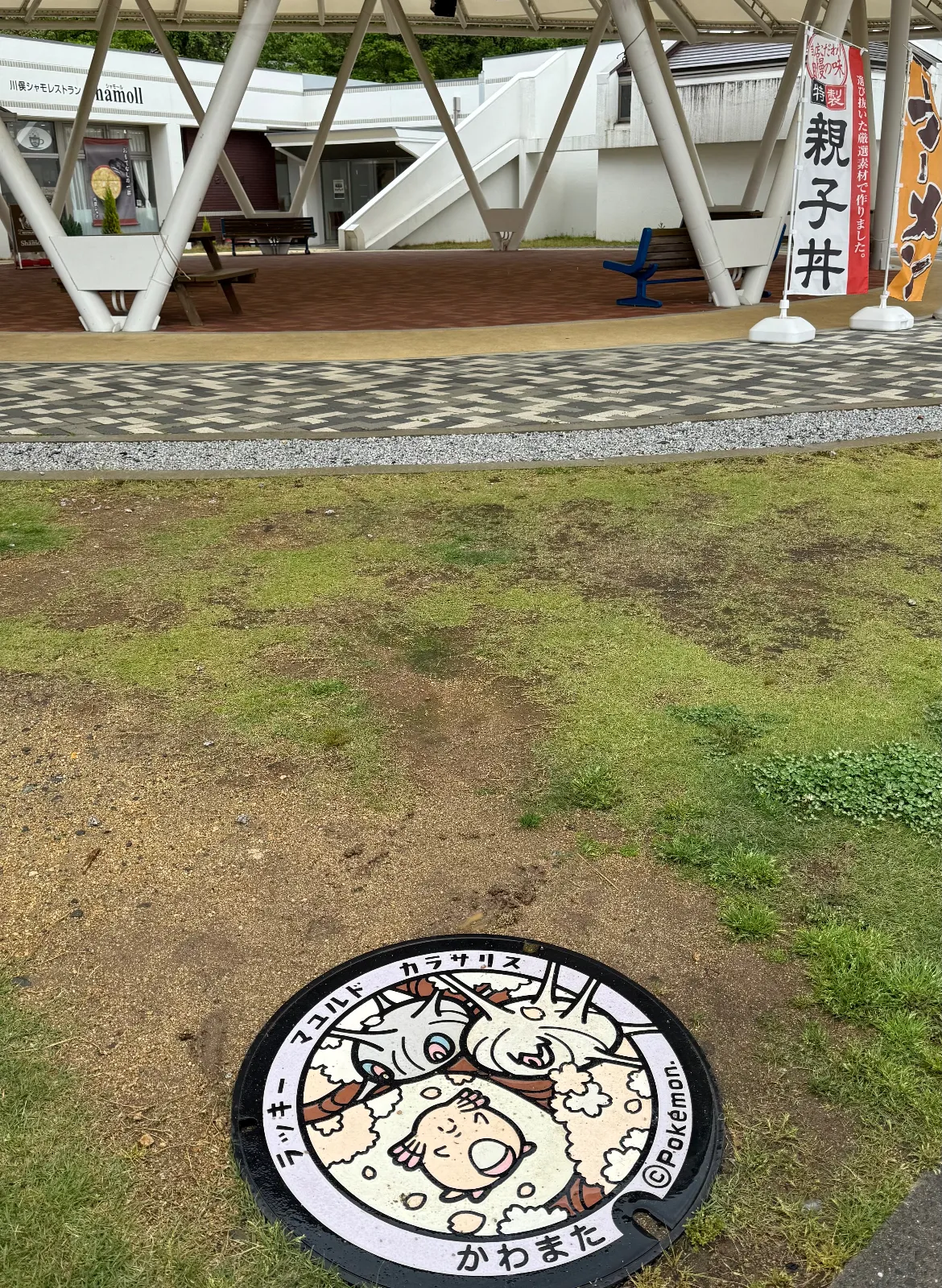 福島県伊達郡川俣町にある道の駅です。農産物の直売所や、名産のシルクに関する施設など数棟の建物がありました。帽子の形をした屋根のある屋外通路の近くにポケモンマンホールがあります。ポケモン好きな方は探してみてください。川俣シャモレストランでは美味しい親子丼が食べられます。
