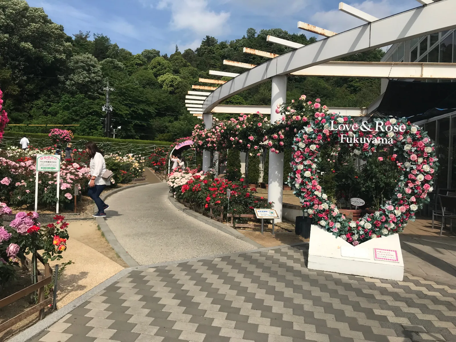 福山サービスエリア（上り）のバラ園です！
高速に乗らなくても下道から行けるのも魅力です。
いつも薔薇の季節には綺麗な花壇を見に行きます。
色とりどりのバラは本当に素晴らしいです！
トイレも綺麗ですし、フードコートも充実しています。尾道ラーメンが結構おいしいです！なんとマクドナルドも！
お土産も広島から岡山まで幅広く置いてあって初めて見る物もたくさんありました！

ドライブキャンペーン
＃ドライブキャンペーン