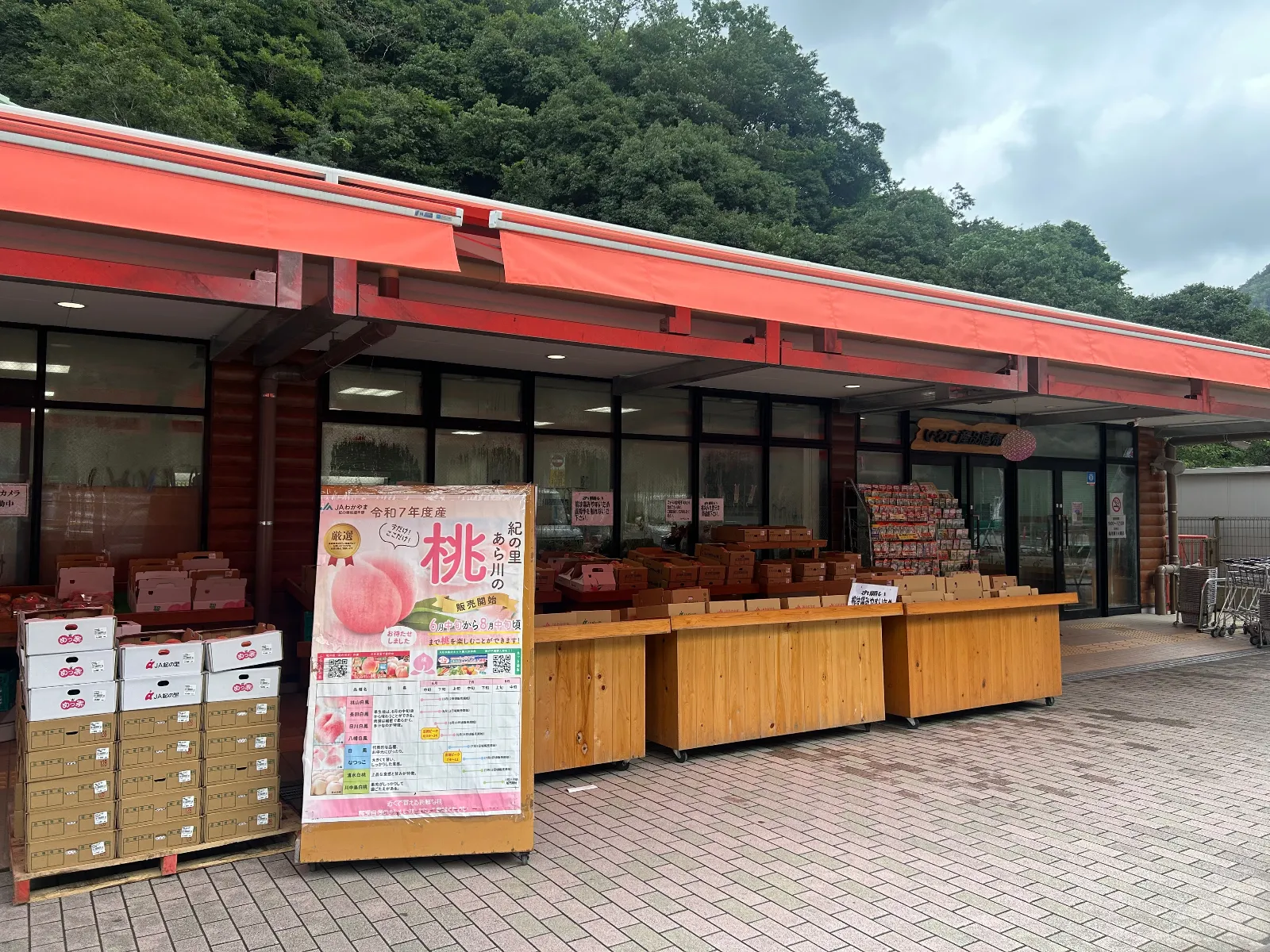 傷んだももはより安く！あらかわの桃は美味しそうです！長いふわとろなすの試食会も開催されていました。桃の品種も多くピオーネ、マスカットの種類も豊富に揃っていました。大阪の道の駅巡りをしているところに和歌山の端の根来までついで寄りすることができました！