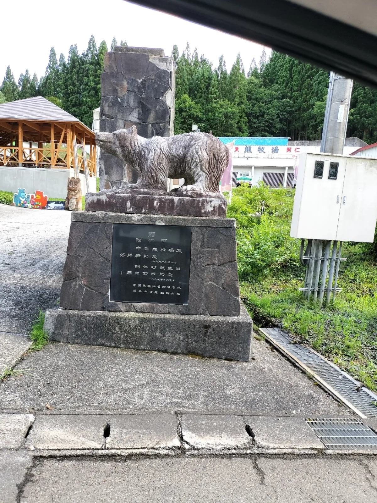 時間切れでした
