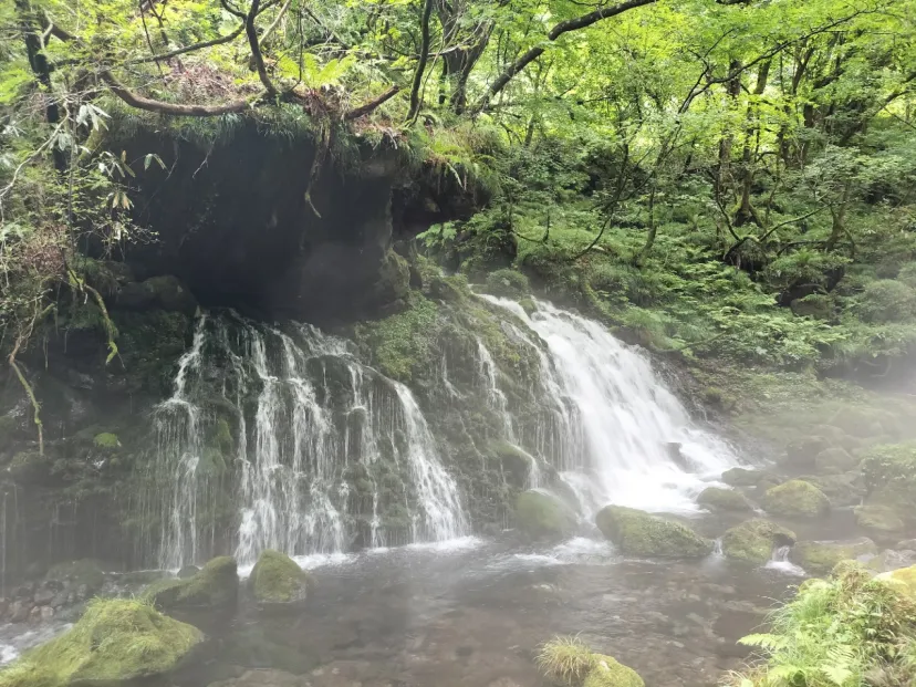 奈曽の白滝　　　の近く
