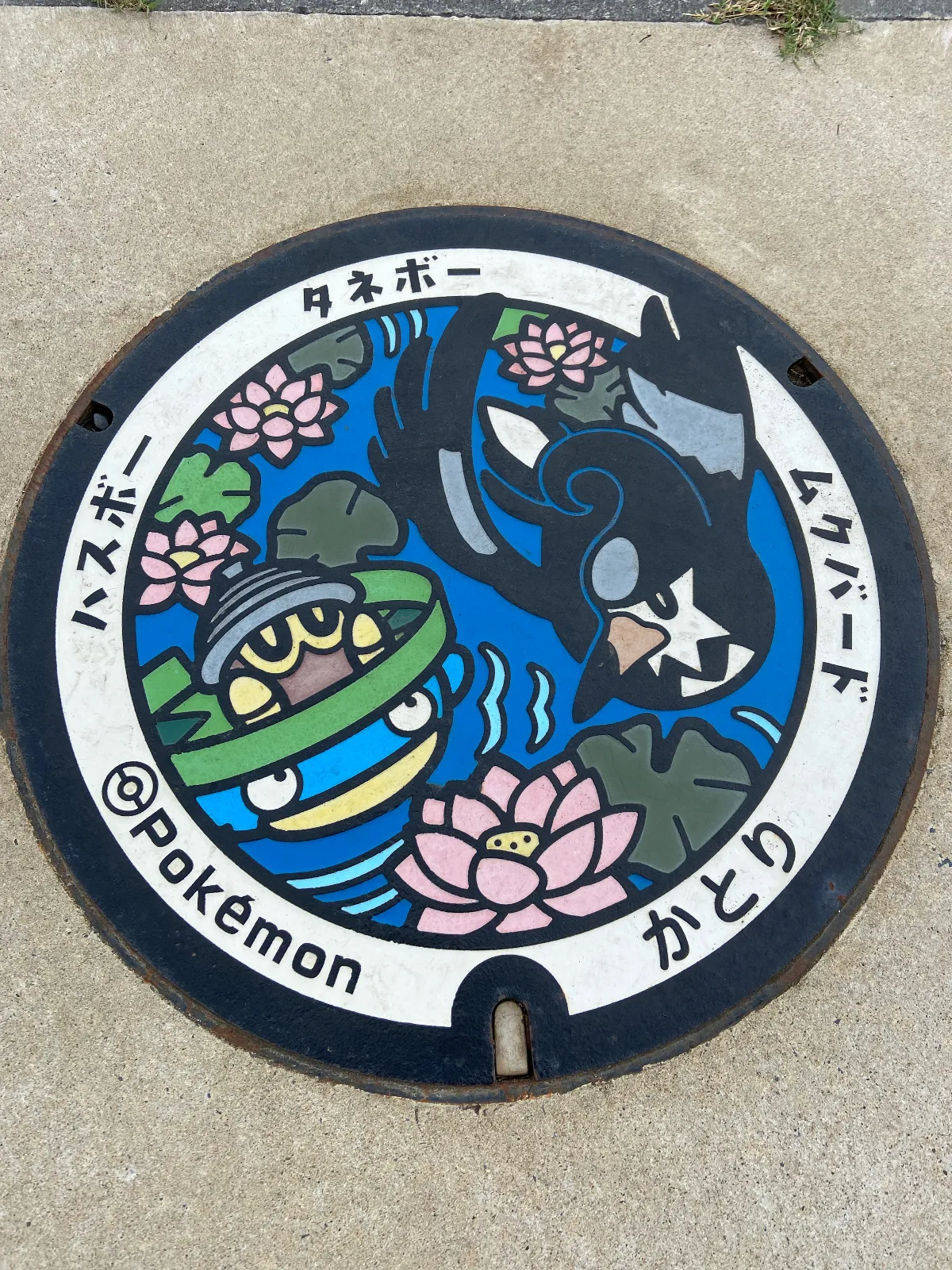 ポケモンのマンホールは物産館から少し外れた所にありますw