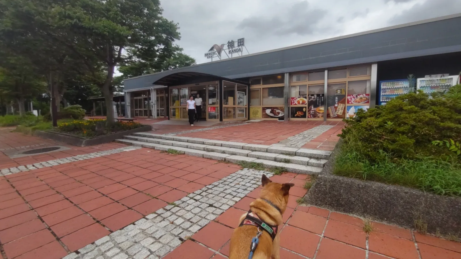 サービスエリアが二カ所連続で満車だったので、こちらの神田パーキングエリアに立ち寄りました。規模は小さめですが、レストランもじゅうしつしており、何より駐車場に余裕があったので、助かりました。ドッグランもあるようですが、残念ながら、今回は使えないようでした…