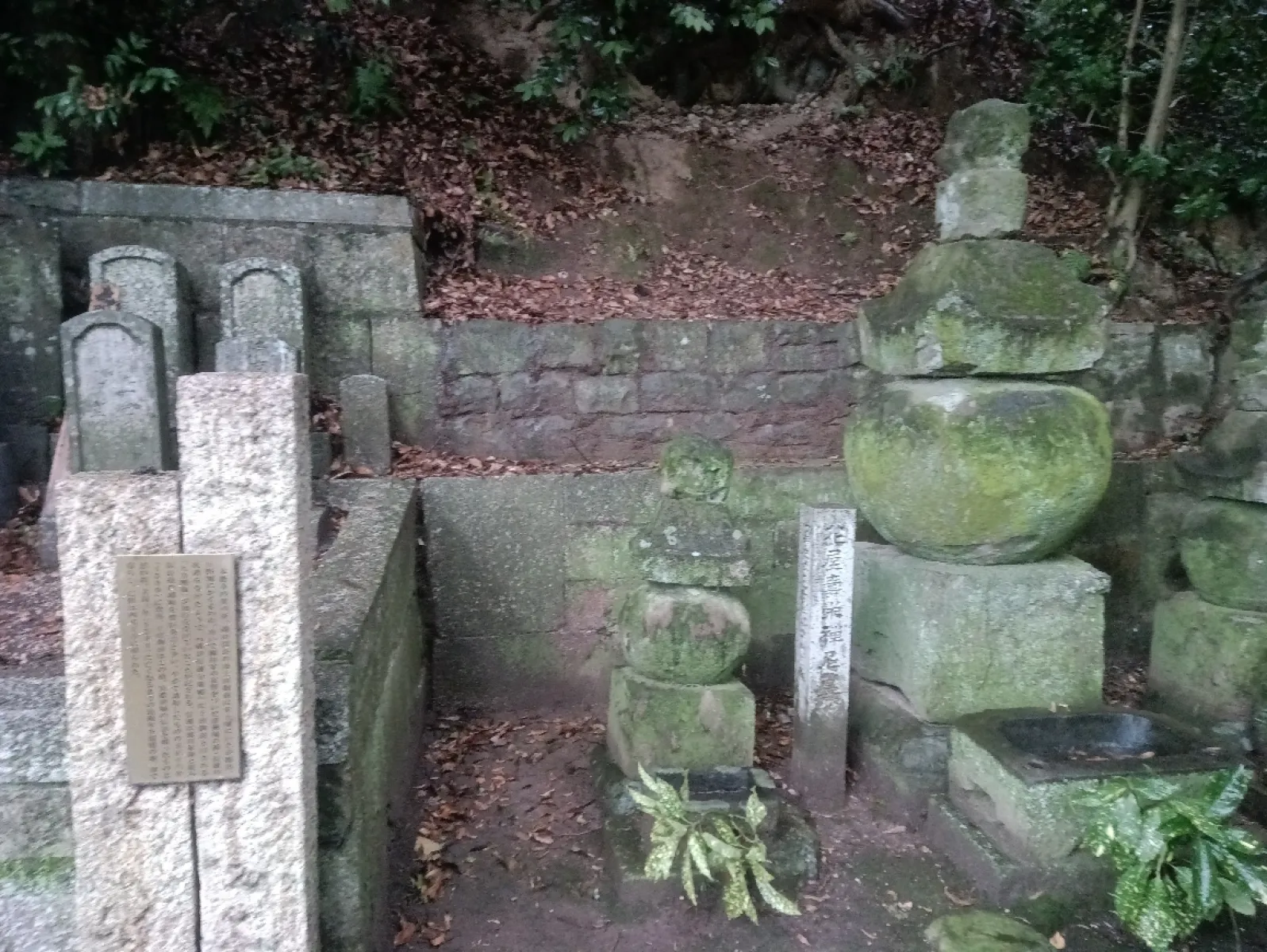#ドライブキャンペーン
津市　四天王寺。大黒天をまつっている。
なんとここには写真のように織田信長の生母の墓が残っている。
横にあった説明書きを見ると、この方、本能寺の変よりも後まで生きながらえて、信長の息子、つまり自分の孫の擁護を受けつつ、関ヶ原の戦いのちょっと前まで三重県津市で暮らしていたそう。
こちらの墓地には24時間入れるみたいです。
ちなみに県庁近くの都心部ですが無料駐車場あり