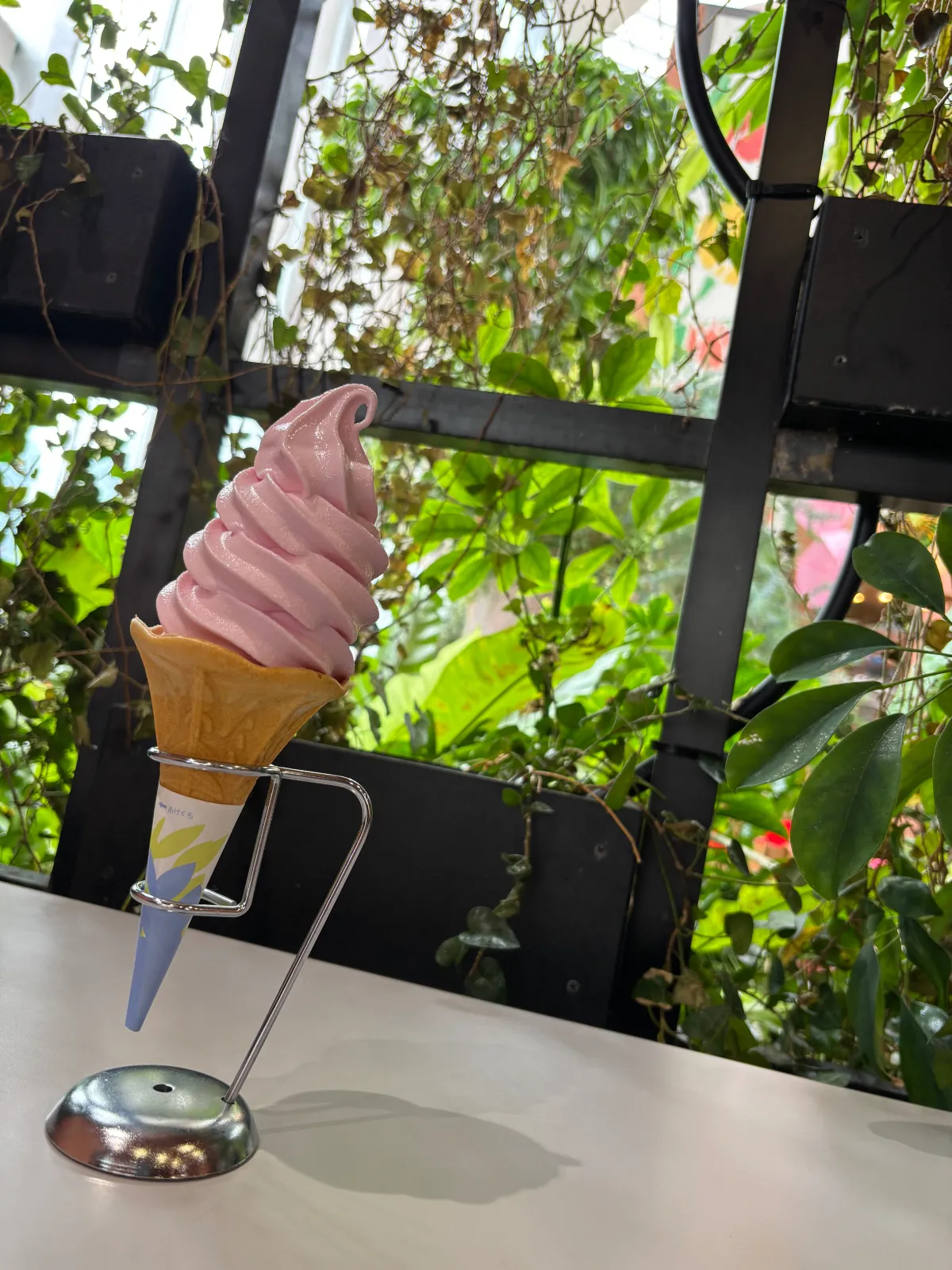 チューリップソフトクリームをいただきました。花のエキス味は表現難しいですが美味しかったです。