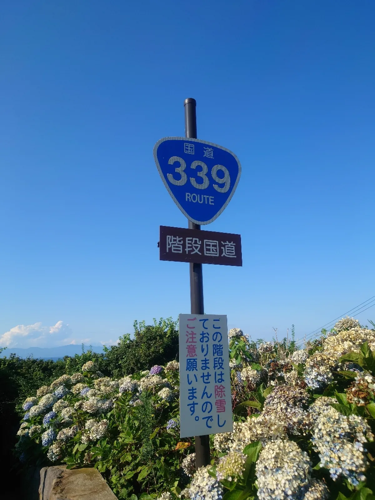 道の駅巡りの途中寄ってみた