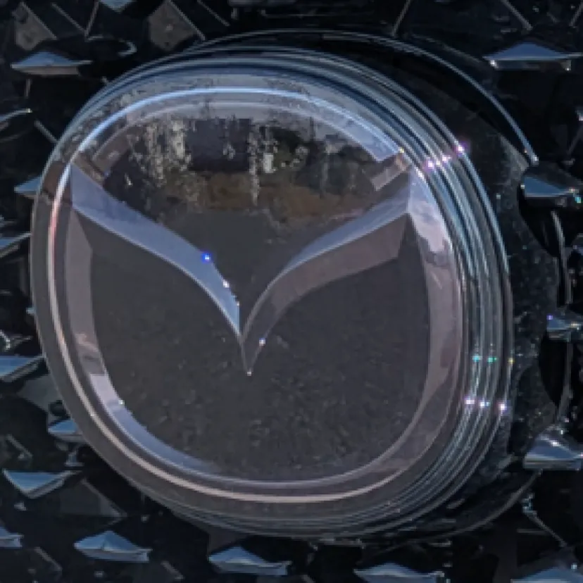 COBRA