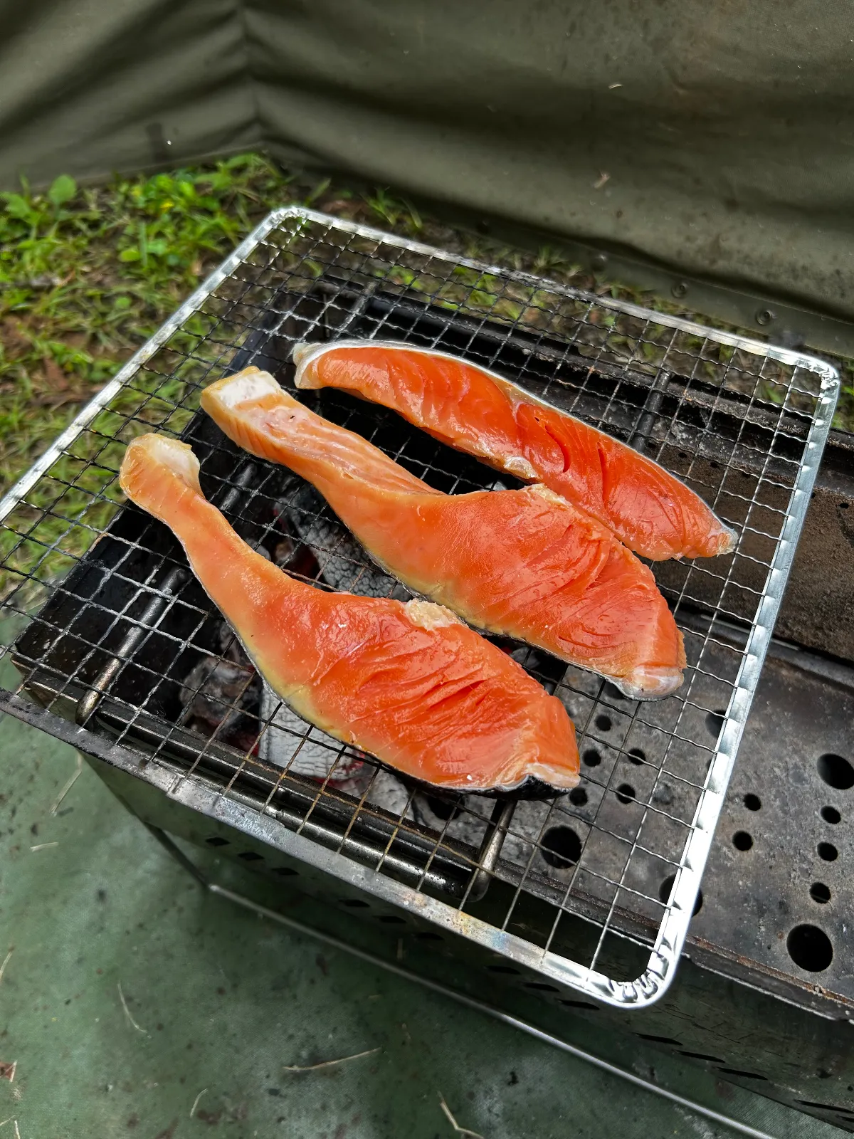 朝メシは鮭！