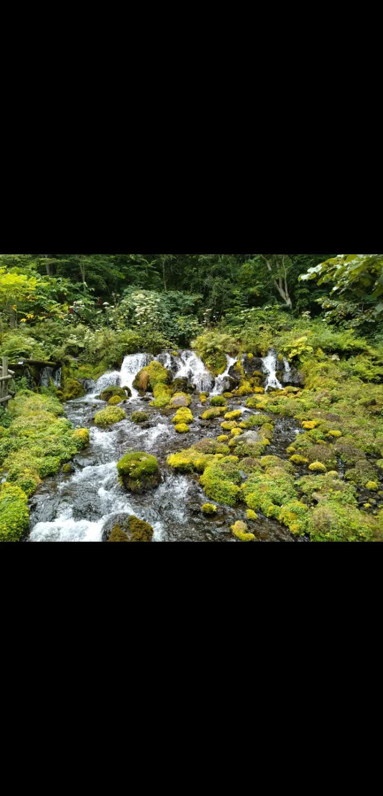 ここの公園は、道の駅にもなっており、何といっても広く、子どもの遊具もあり家族で一日いられそうです。
水がきれいで、冷たくておいしいです。空気もひんやりして気持ちの良い場所です。水汲みもできてペットボトルやタンクに入れて持ち帰る事も出来るようです。公園側からは階段になっているので容器をたくさん用意してる人は裏側に水汲み口があり、駐車場があり便利です。
