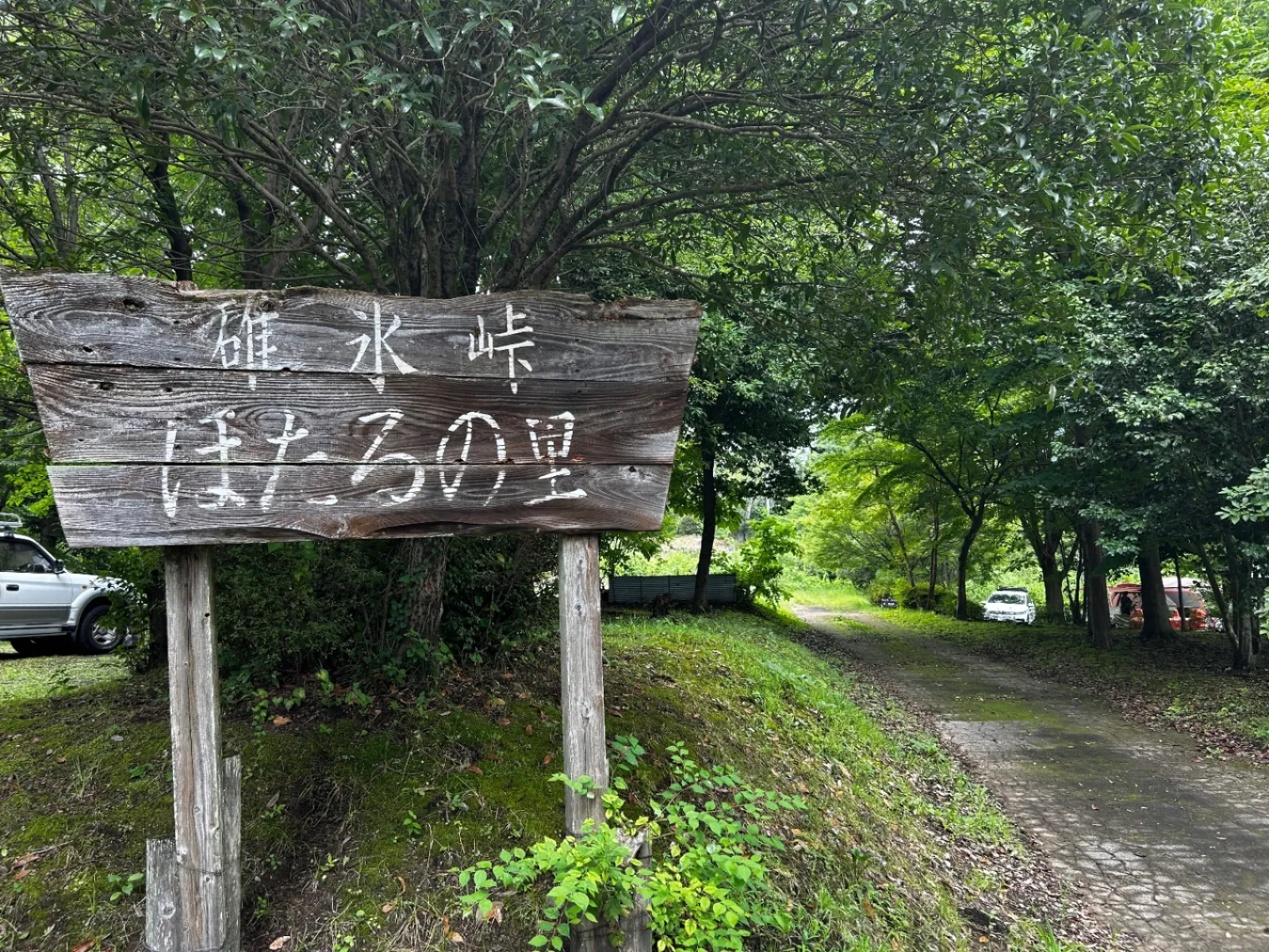 真夏の碓氷峠キャンプ⛺️