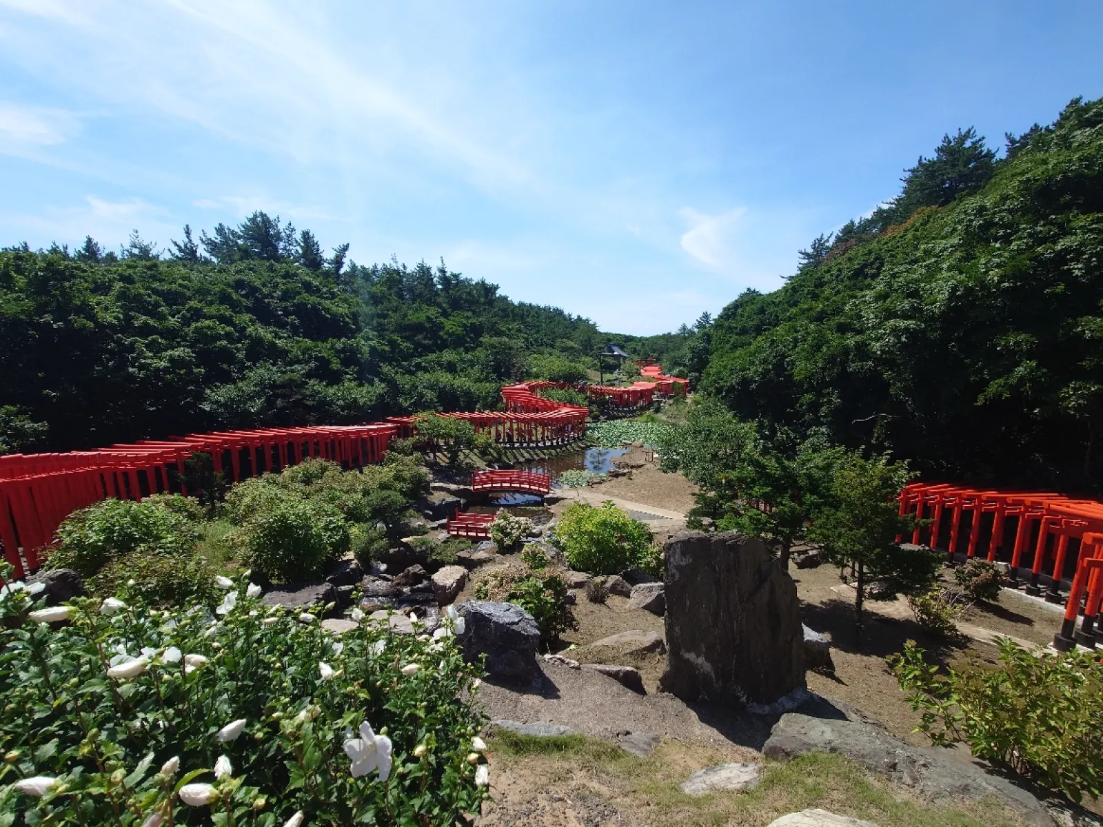 高山稲荷神社の千本鳥居
至る所に小さなお稲荷さんが居ます。
お賽銭用の小銭を沢山用意しましょう。