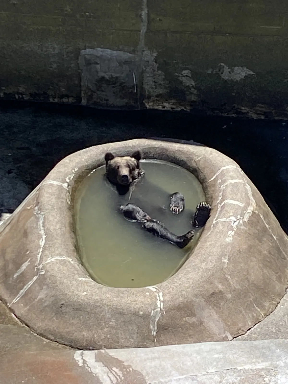 水遊び中