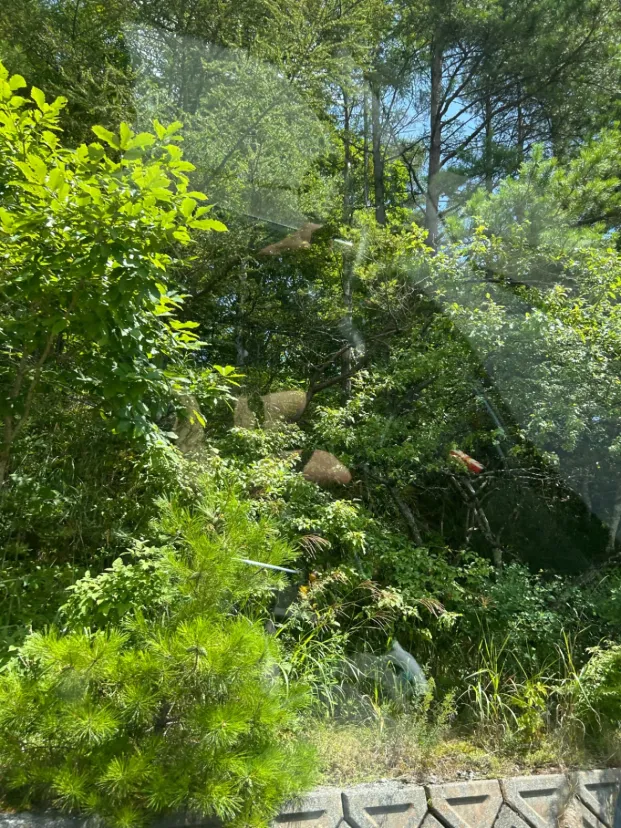 一瞬の絶景