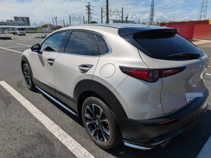 ドアハンドルカバー