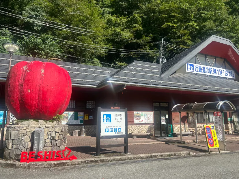 道の駅　はが