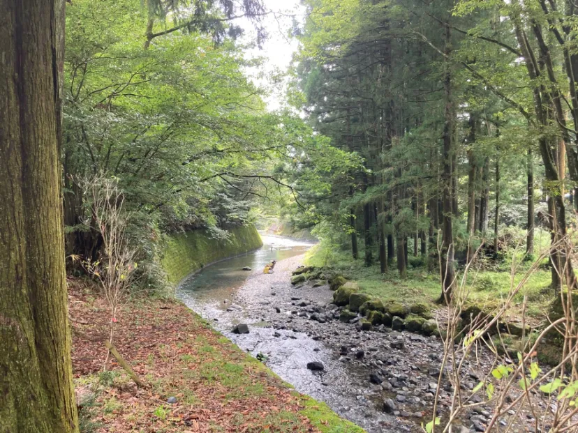 NB 涼を求めて、陣場の滝・白糸の滝、音止めの滝