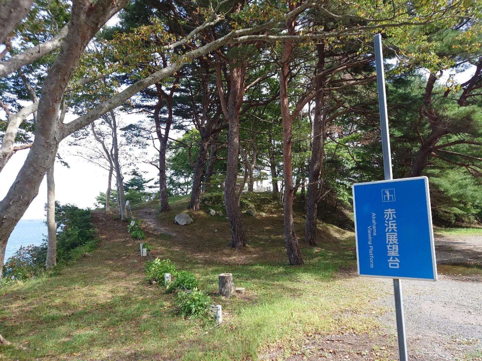 久慈から野田方面に南下する海沿いの県道２６８号線の道脇にある展望台