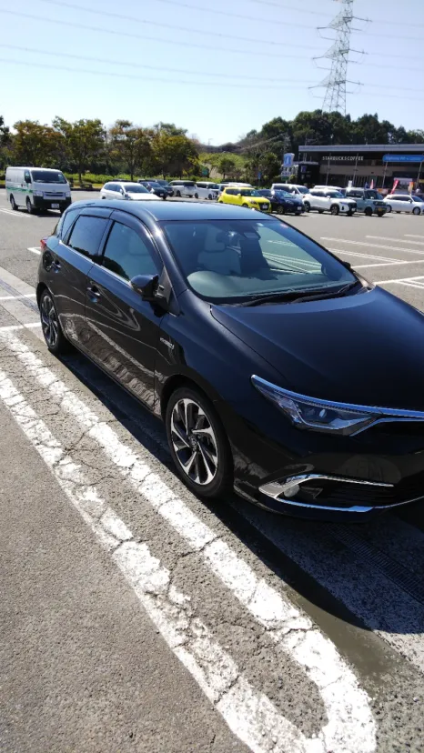 現在所有車