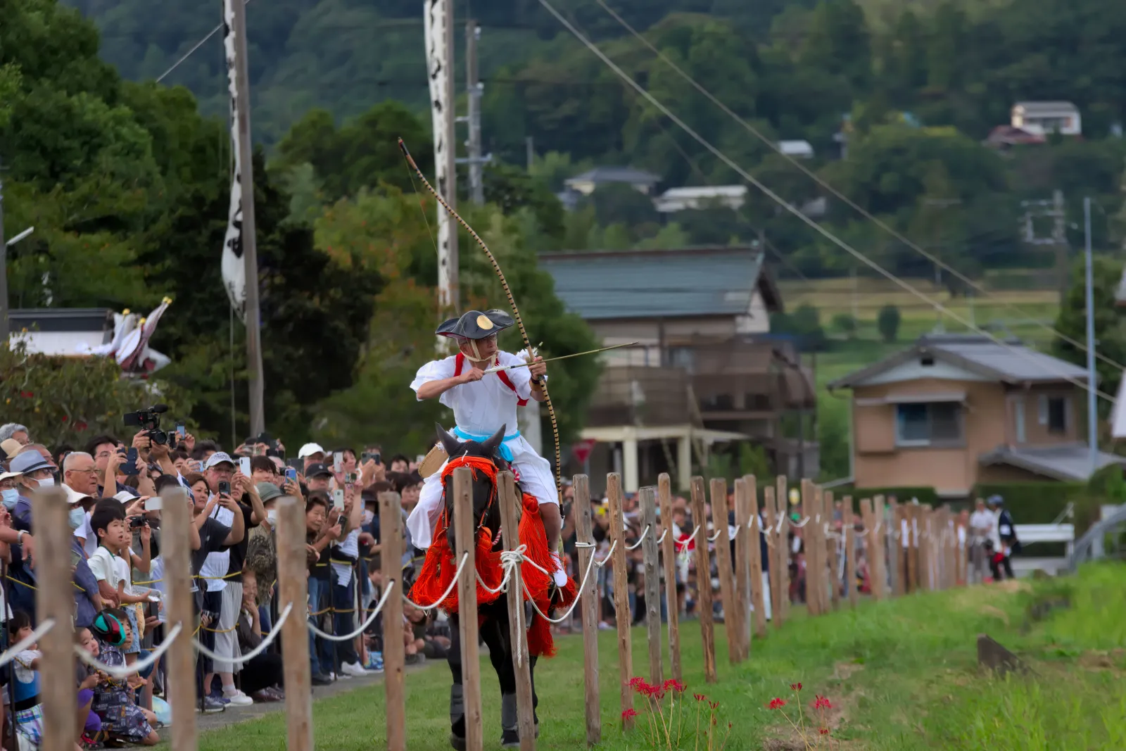 近くで見られるので迫力がありました